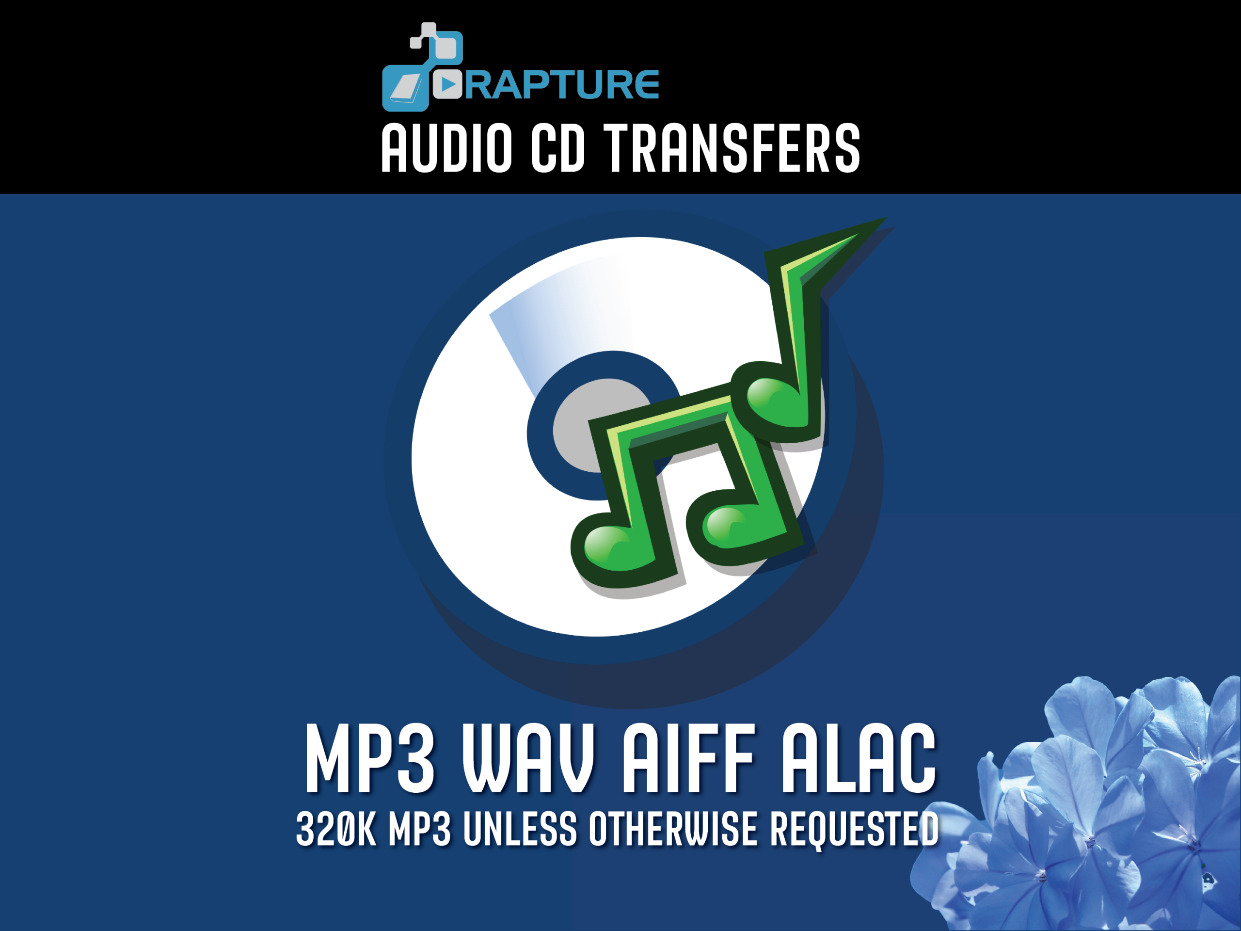 AUDIO CD TRANSFER